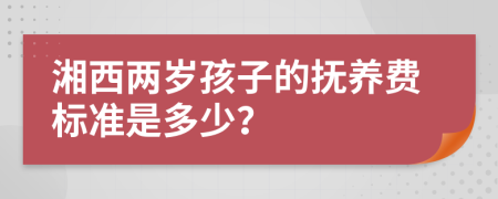 湘西两岁孩子的抚养费标准是多少？