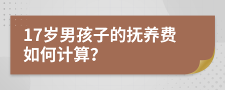 17岁男孩子的抚养费如何计算？