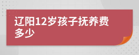 辽阳12岁孩子抚养费多少