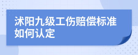 沭阳九级工伤赔偿标准如何认定