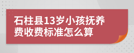 石柱县13岁小孩抚养费收费标准怎么算