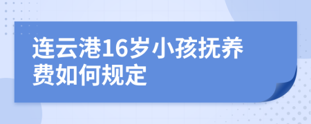 连云港16岁小孩抚养费如何规定