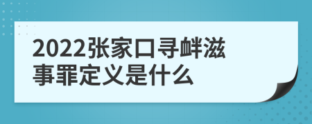 2022张家口寻衅滋事罪定义是什么