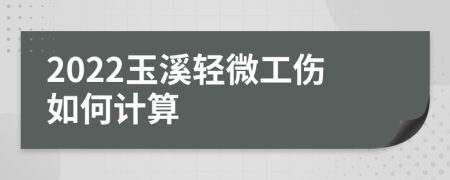 2022玉溪轻微工伤如何计算