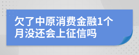 欠了中原消费金融1个月没还会上征信吗