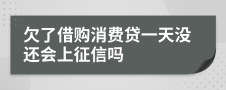 欠了借购消费贷一天没还会上征信吗