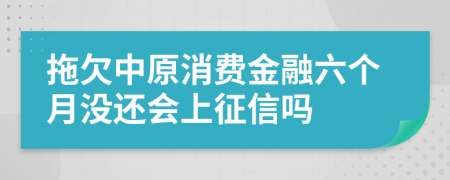 拖欠中原消费金融六个月没还会上征信吗