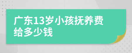 广东13岁小孩抚养费给多少钱