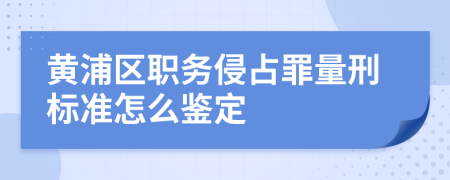 黄浦区职务侵占罪量刑标准怎么鉴定