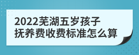 2022芜湖五岁孩子抚养费收费标准怎么算