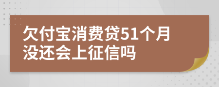 欠付宝消费贷51个月没还会上征信吗