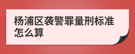 杨浦区袭警罪量刑标准怎么算