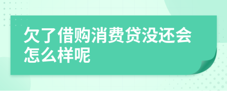 欠了借购消费贷没还会怎么样呢