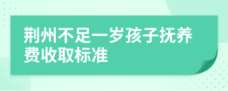 荆州不足一岁孩子抚养费收取标准