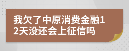 我欠了中原消费金融12天没还会上征信吗