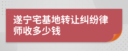 遂宁宅基地转让纠纷律师收多少钱