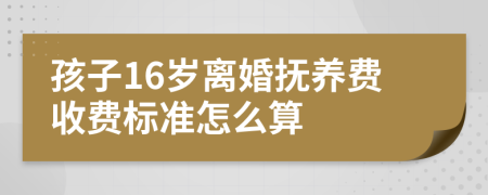 孩子16岁离婚抚养费收费标准怎么算