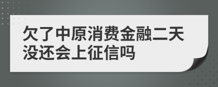 欠了中原消费金融二天没还会上征信吗