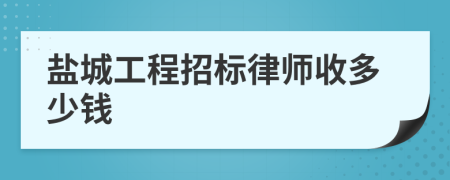 盐城工程招标律师收多少钱