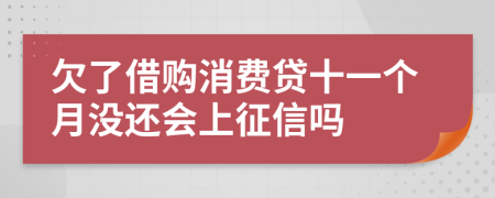 欠了借购消费贷十一个月没还会上征信吗