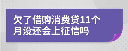 欠了借购消费贷11个月没还会上征信吗