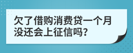欠了借购消费贷一个月没还会上征信吗？