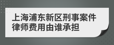 上海浦东新区刑事案件律师费用由谁承担