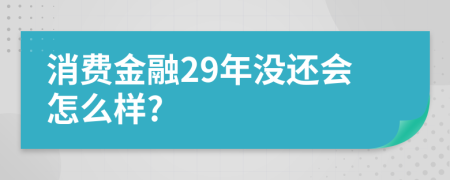 消费金融29年没还会怎么样?