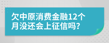 欠中原消费金融12个月没还会上征信吗？