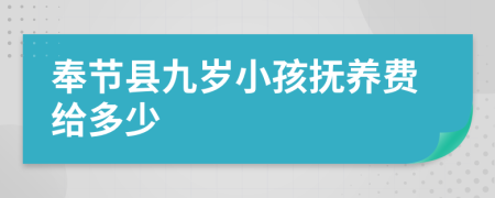 奉节县九岁小孩抚养费给多少