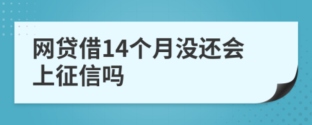 网贷借14个月没还会上征信吗