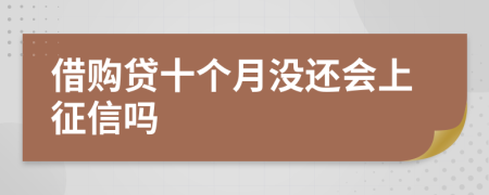 借购贷十个月没还会上征信吗