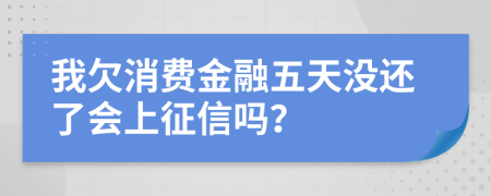 我欠消费金融五天没还了会上征信吗？