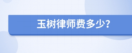 玉树律师费多少？