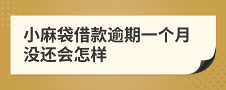 小麻袋借款逾期一个月没还会怎样