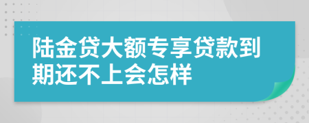 陆金贷大额专享贷款到期还不上会怎样