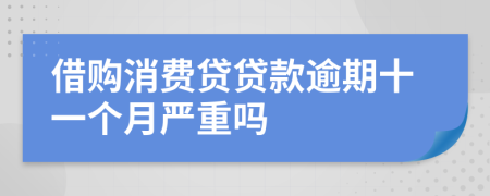 借购消费贷贷款逾期十一个月严重吗