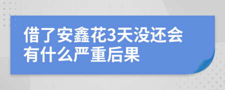 借了安鑫花3天没还会有什么严重后果