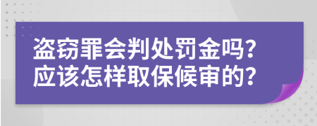 盗窃罪会判处罚金吗？应该怎样取保候审的？