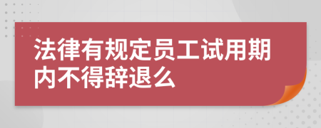 法律有规定员工试用期内不得辞退么