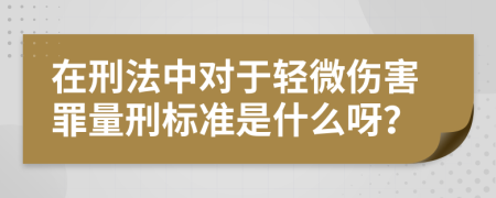 在刑法中对于轻微伤害罪量刑标准是什么呀？