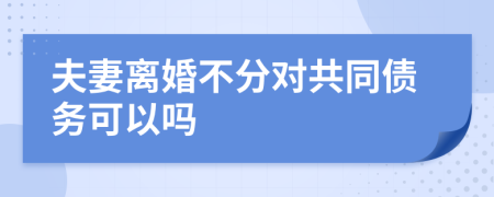 夫妻离婚不分对共同债务可以吗