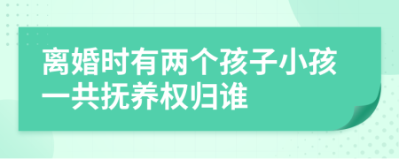 离婚时有两个孩子小孩一共抚养权归谁