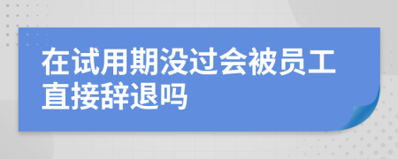 在试用期没过会被员工直接辞退吗