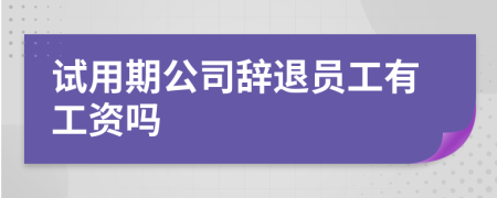 试用期公司辞退员工有工资吗