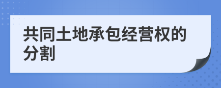 共同土地承包经营权的分割