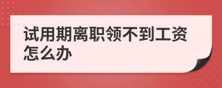 试用期离职领不到工资怎么办