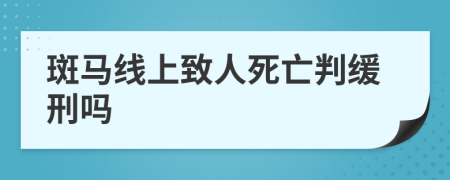 斑马线上致人死亡判缓刑吗