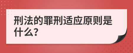 刑法的罪刑适应原则是什么？