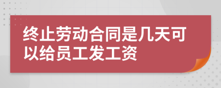 终止劳动合同是几天可以给员工发工资